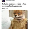 dragonnetfaz