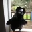 BlackRaven