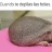 Edu Alva