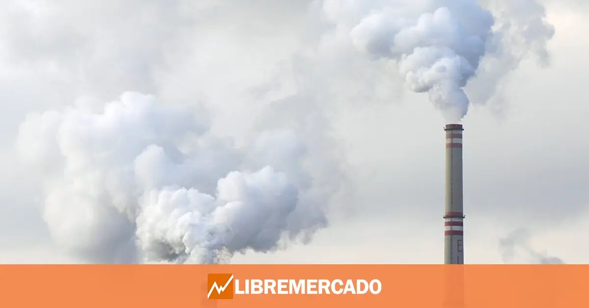 www.libremercado.com