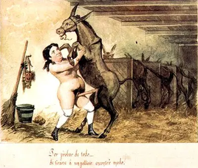 burro.jpg