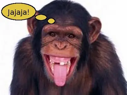 mono-riendose2.jpg