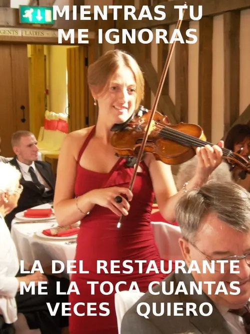 dTdQA.jpg