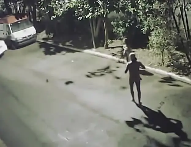 eldiestro.tv
