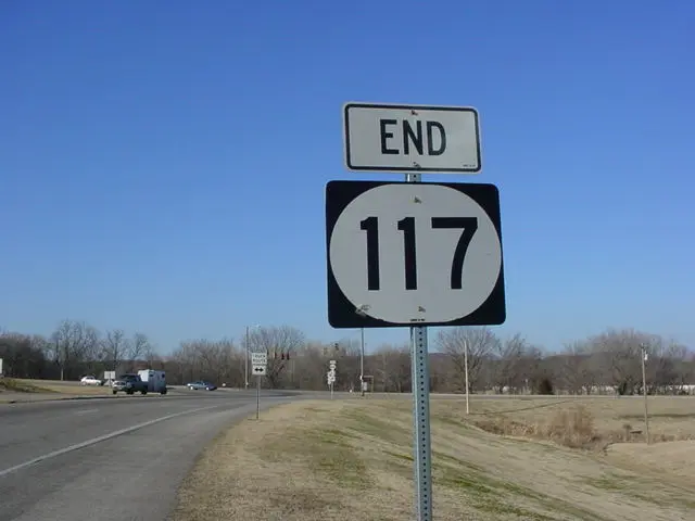 ok117wterm.JPG