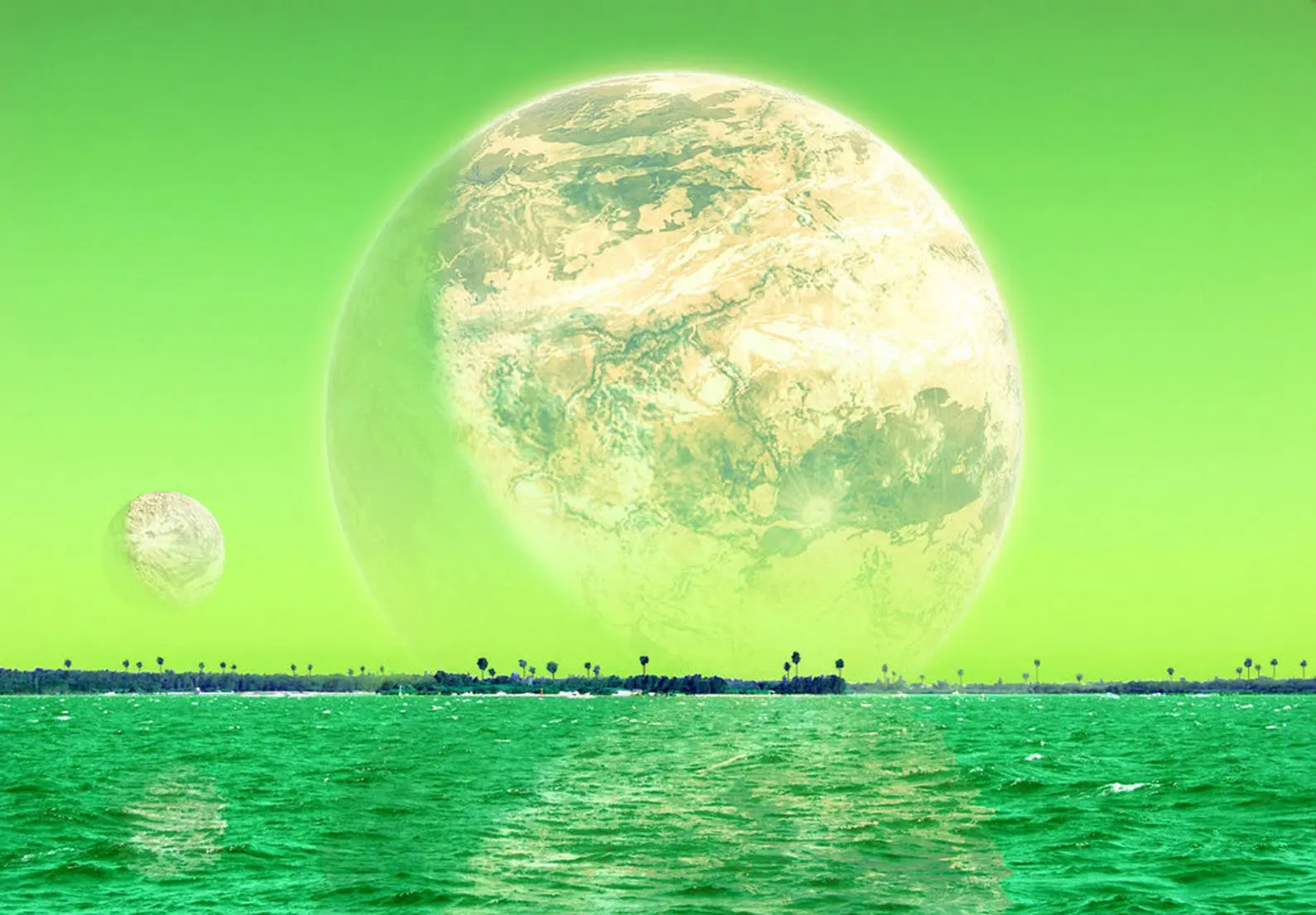 namek.jpg