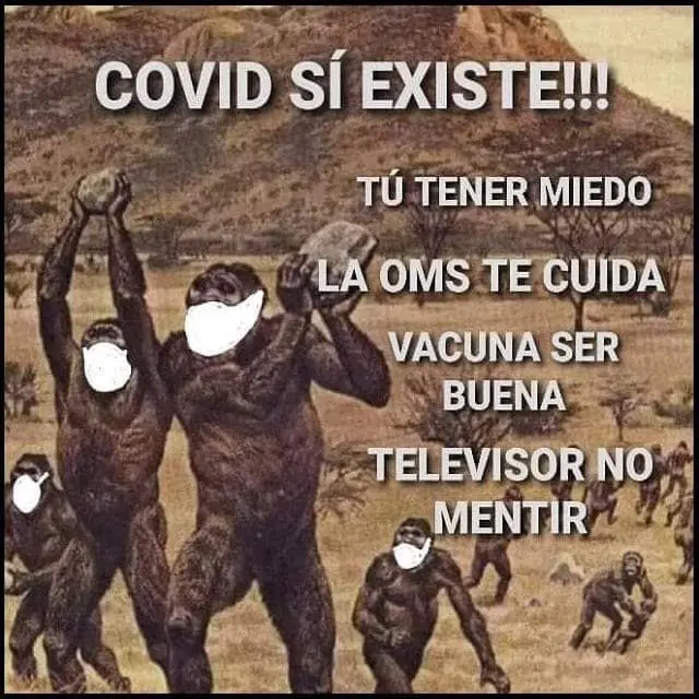 Y7D9rKE.jpg