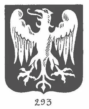293.jpg