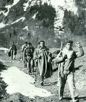 maquis02.jpg