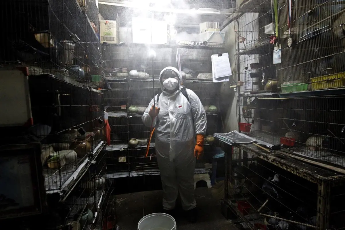 www.europapress.es
