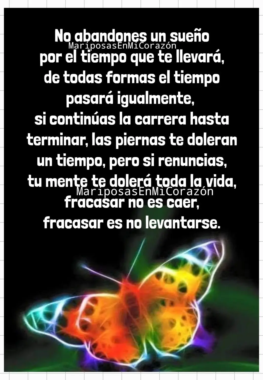 mariposa7.jpg