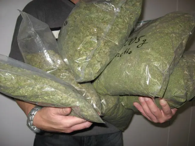 marihuana.jpg