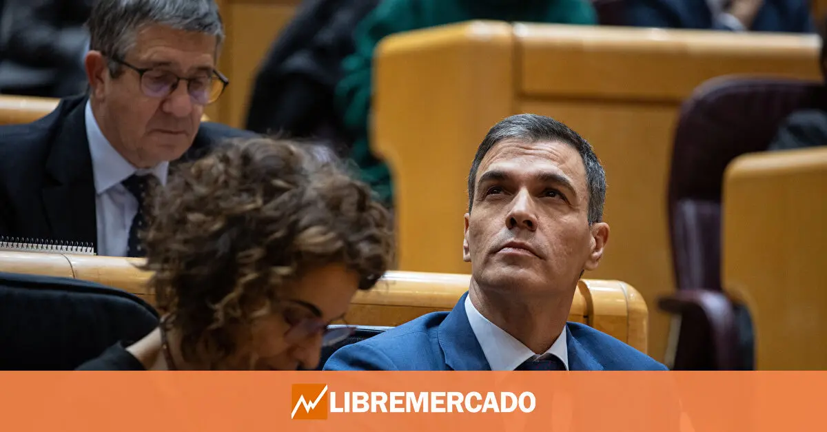 www.libremercado.com