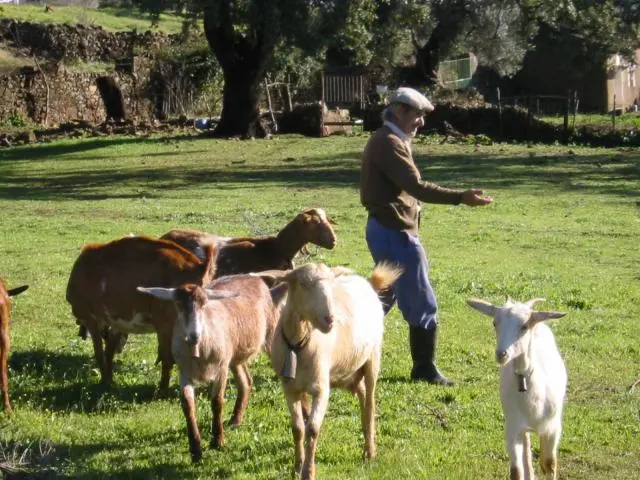 86087-higuera-de-la-sierra-cabrero.jpg