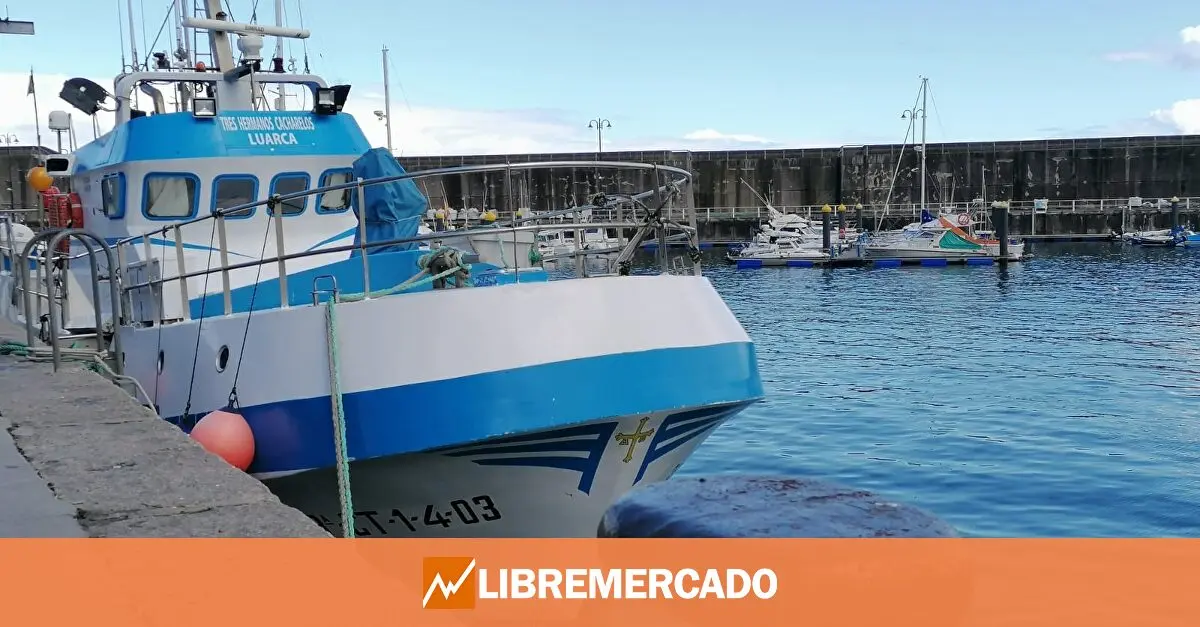 www.libremercado.com