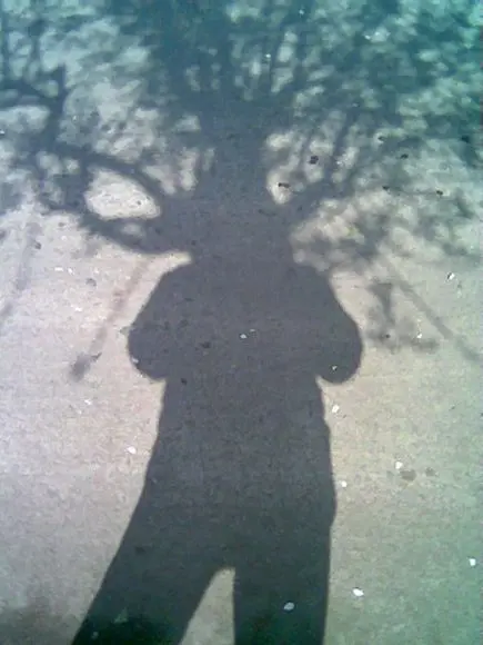 cabeza_de_arbol.jpg