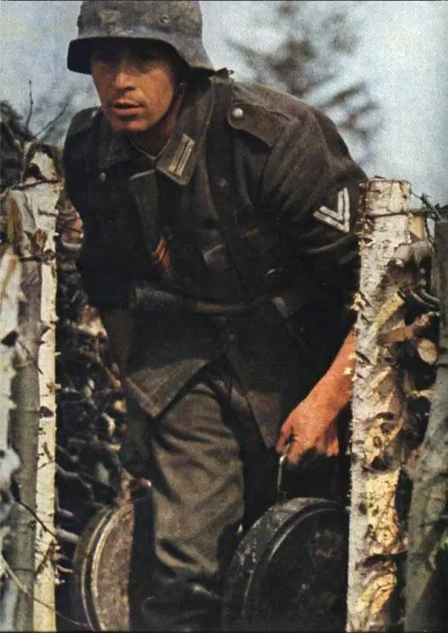 43.jpg