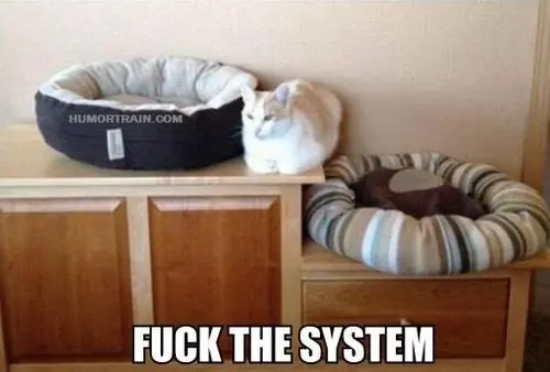 tumblr_me4cmnQFAu1rs7eaxo1_500.jpg