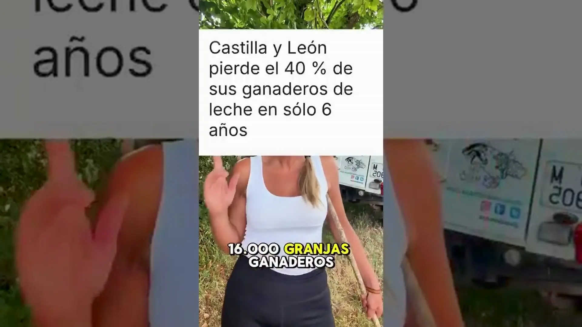 eldiestro.tv