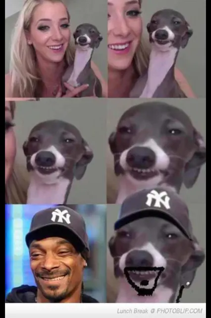 tumblr_m35ezh0hfV1qi3652o1_500.png