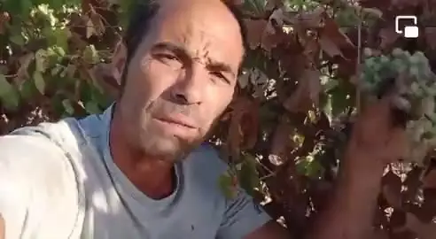 eldiestro.tv