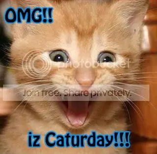 OMGIzCaturday.jpg