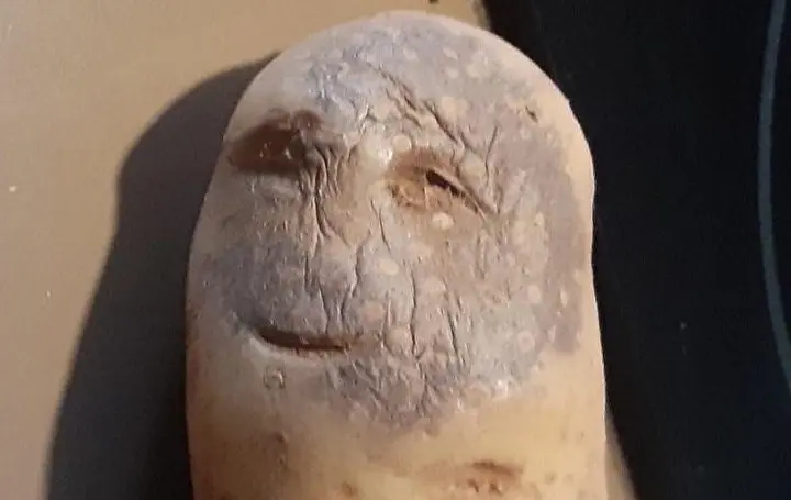 QqWbCCo.jpg
