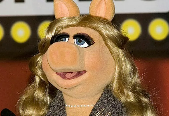Los-Muppets.Interior-2012-3.jpg