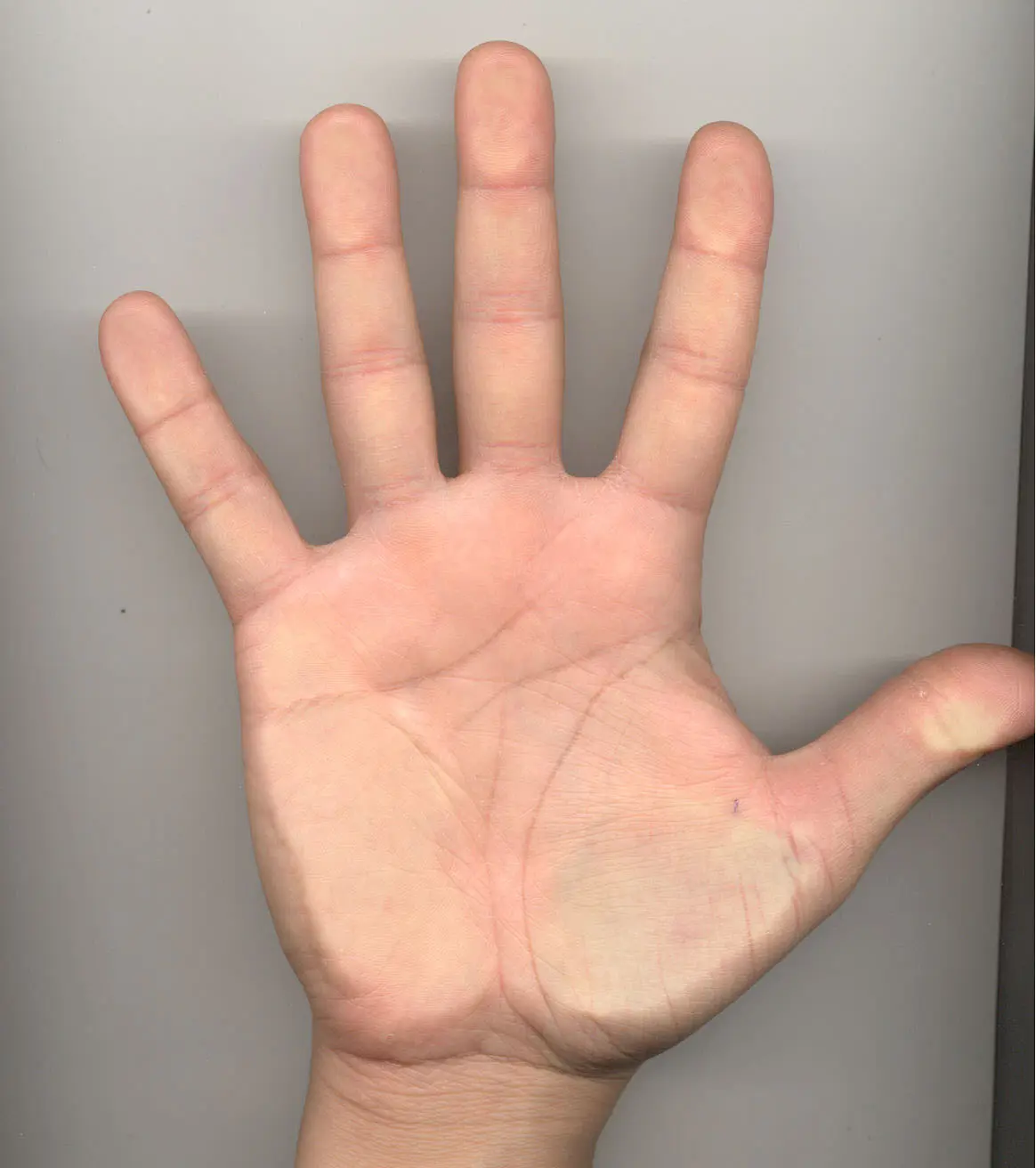 Mano.jpg