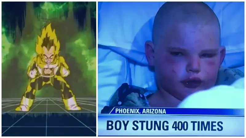 6KQSkcS.jpg