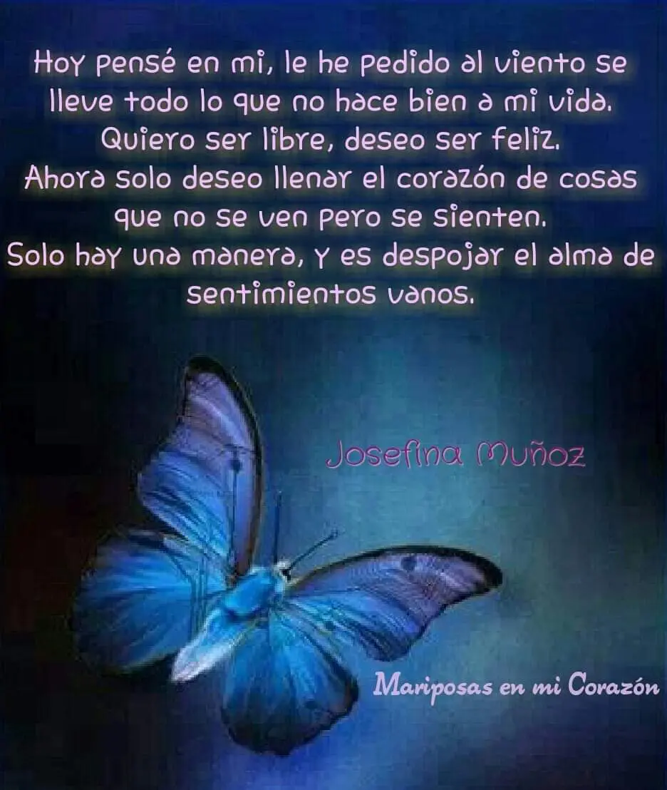 Mariposa.jpg