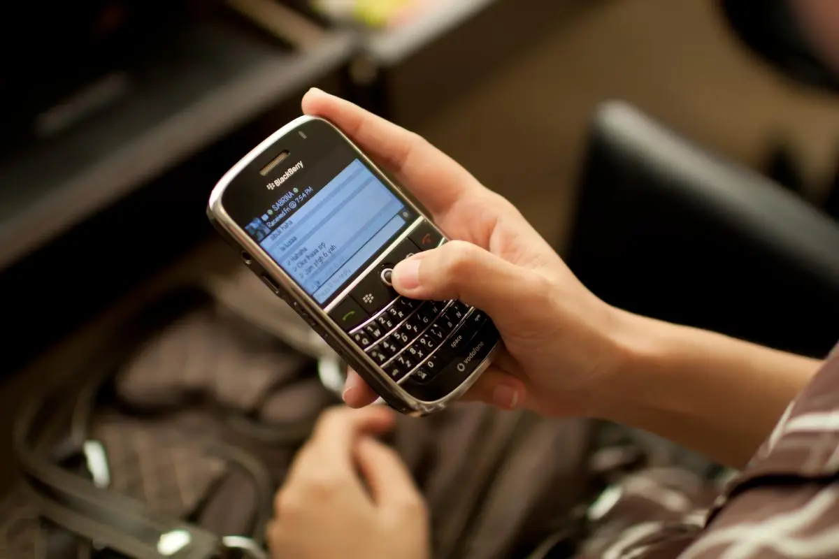 blackberry-2575025.jpg
