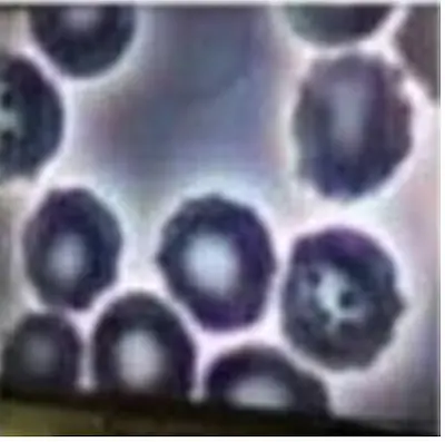 61c8c83026e8d7a34f7b8.png
