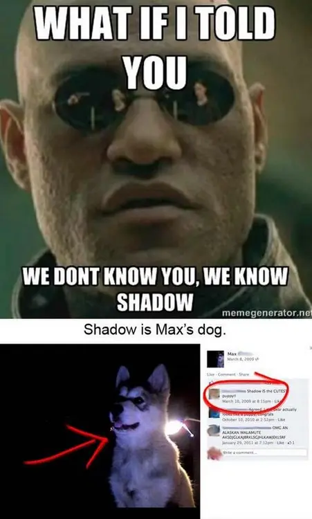 tumblr_mbp9wzA7rJ1r5pvsy.png