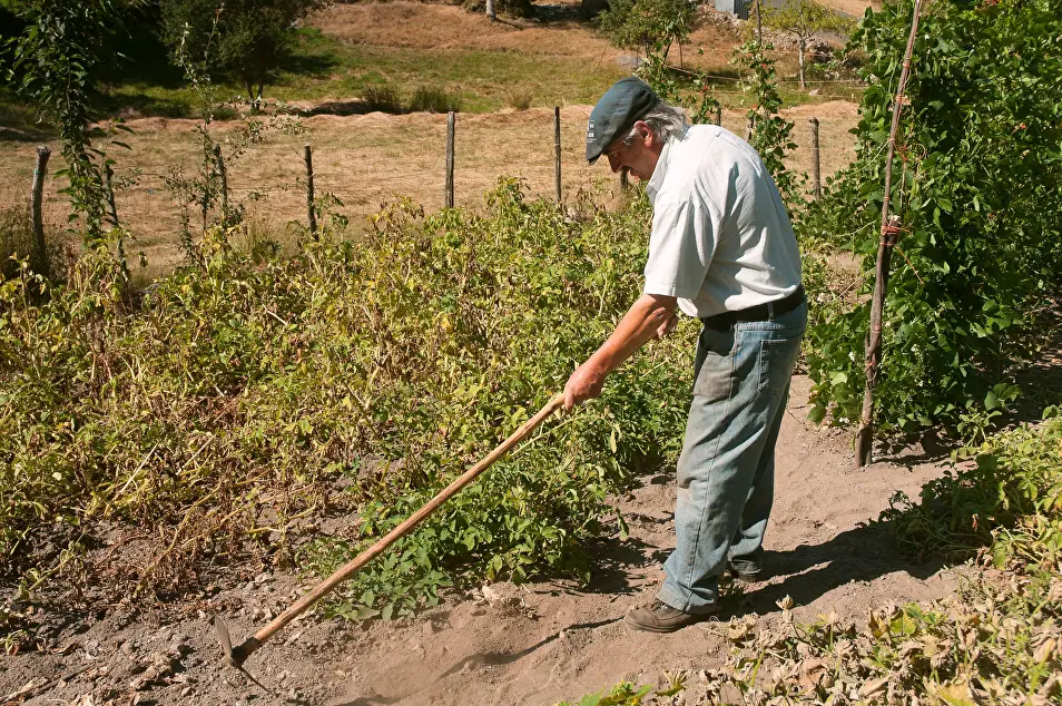 agricultor-mayor-anciano-2015.jpg.webp