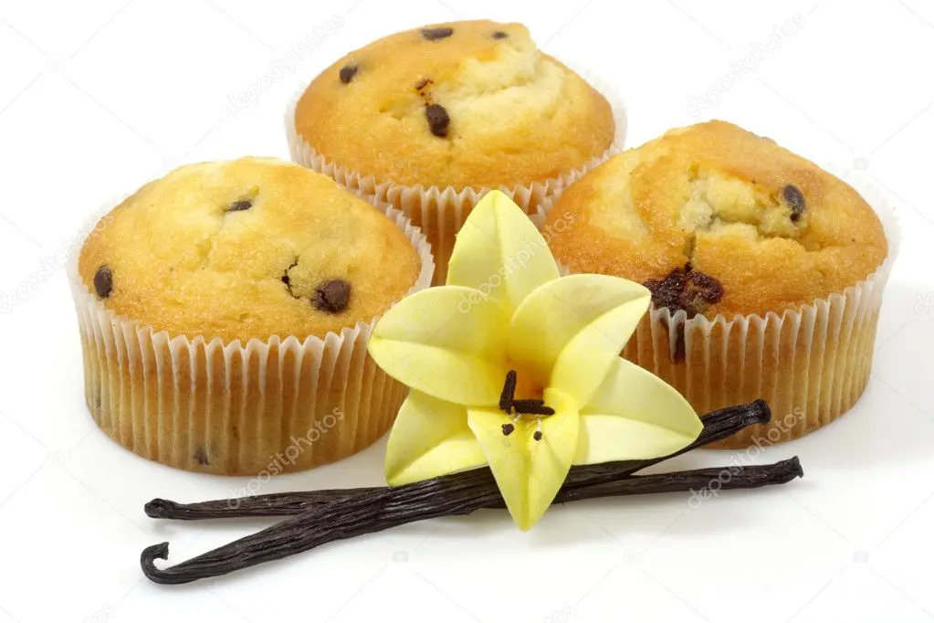 depositphotos_1552253-Vanilla-muffins.jpg