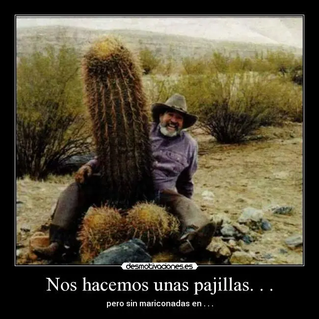 cactuscacho3im.jpg