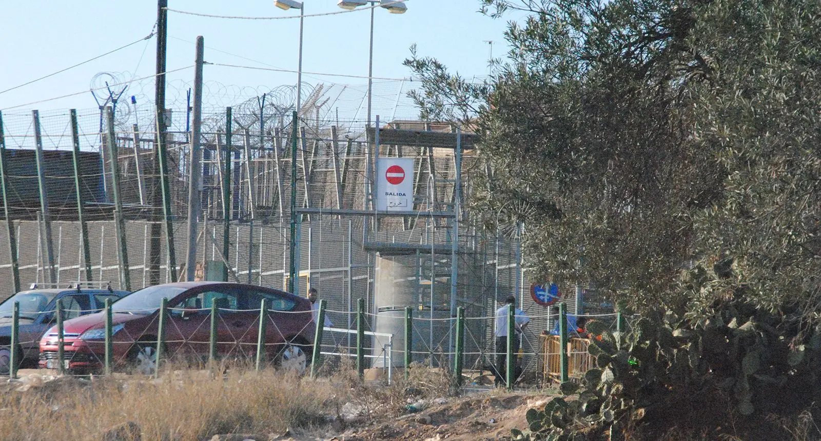 elfarodemelilla.es
