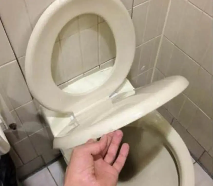 JVnKuq2.jpg