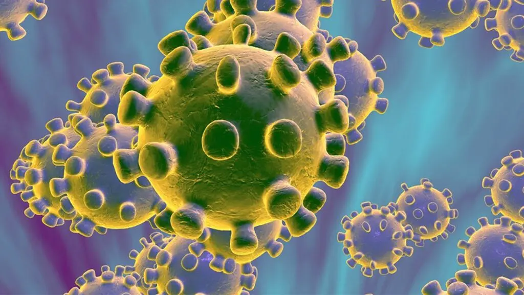 www.telecinco.es