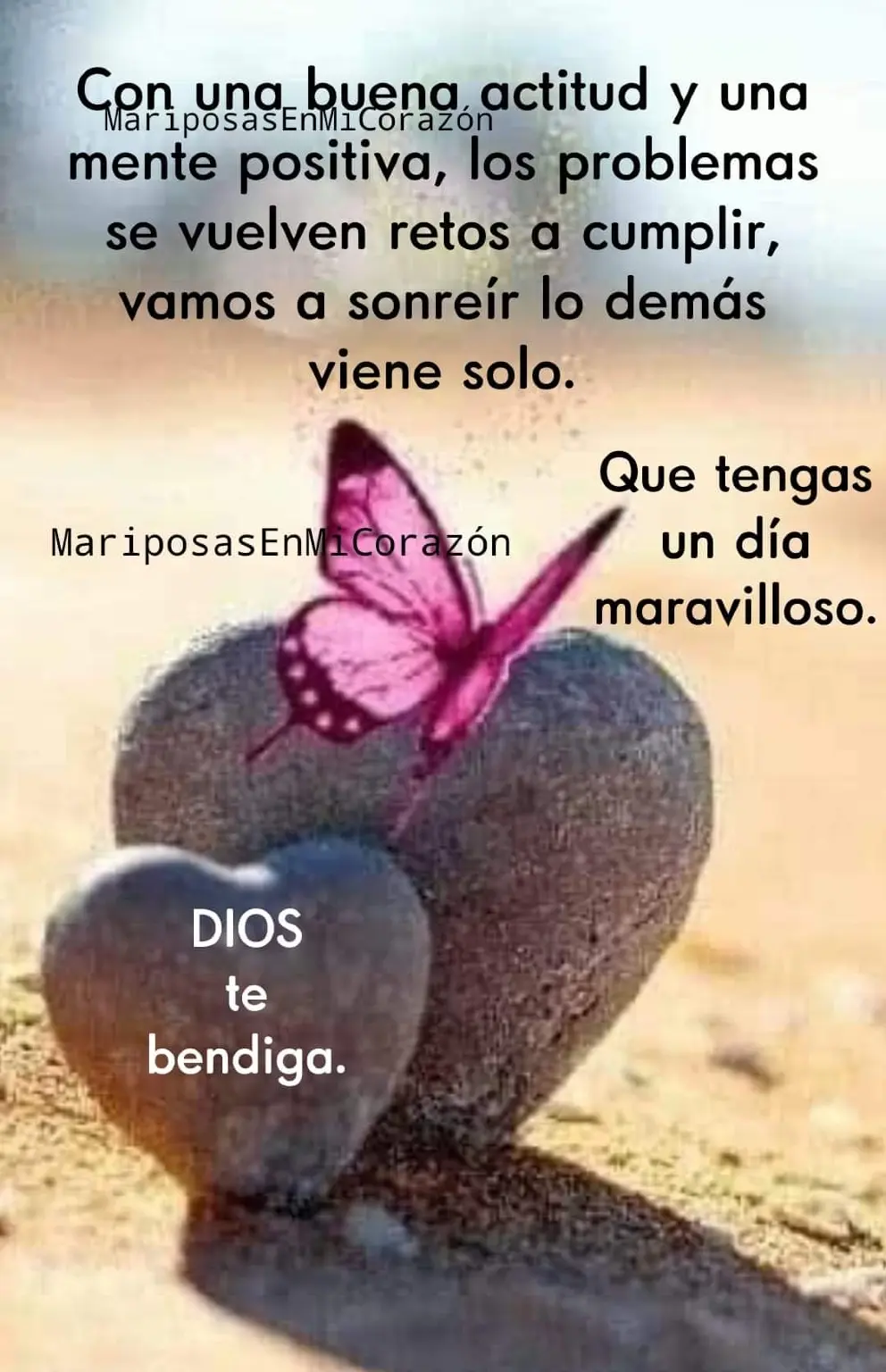 mariposa2.jpg