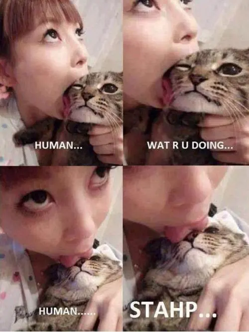 tumblr_m9lz73CvK81r3s5n0o1_500.jpg