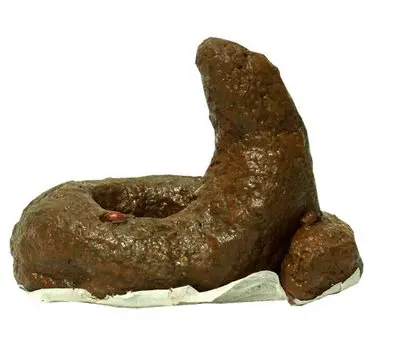 50-caca-redonda.jpg