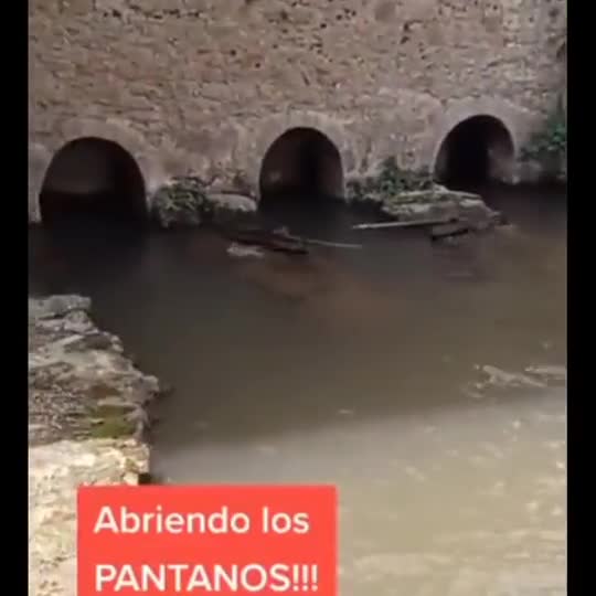 eldiestro.tv
