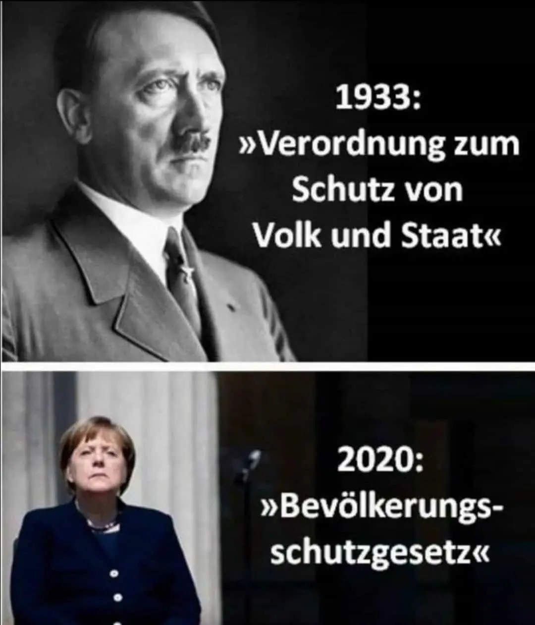 48Wha07.jpg
