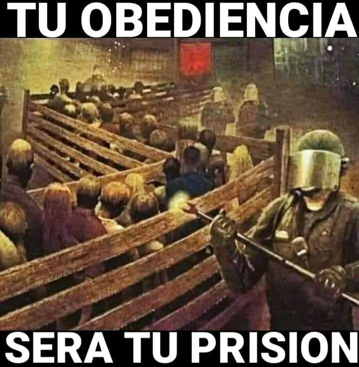 8EQFjwO.jpg