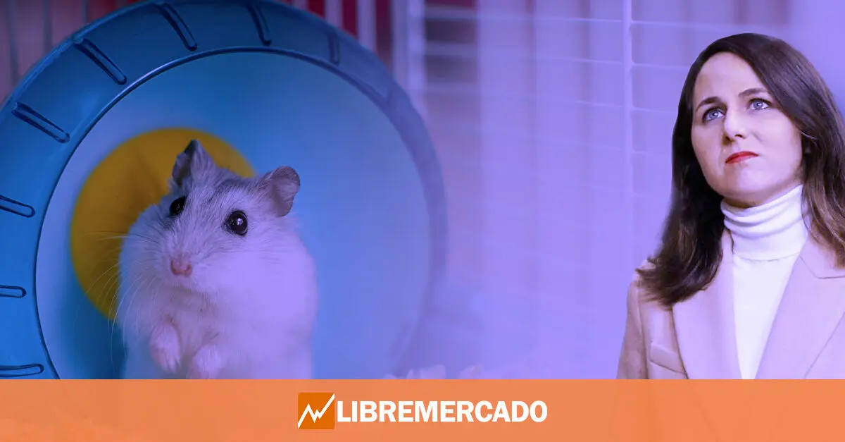 www.libremercado.com