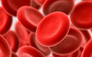 healthy-red-blood-cell-300x186.jpg