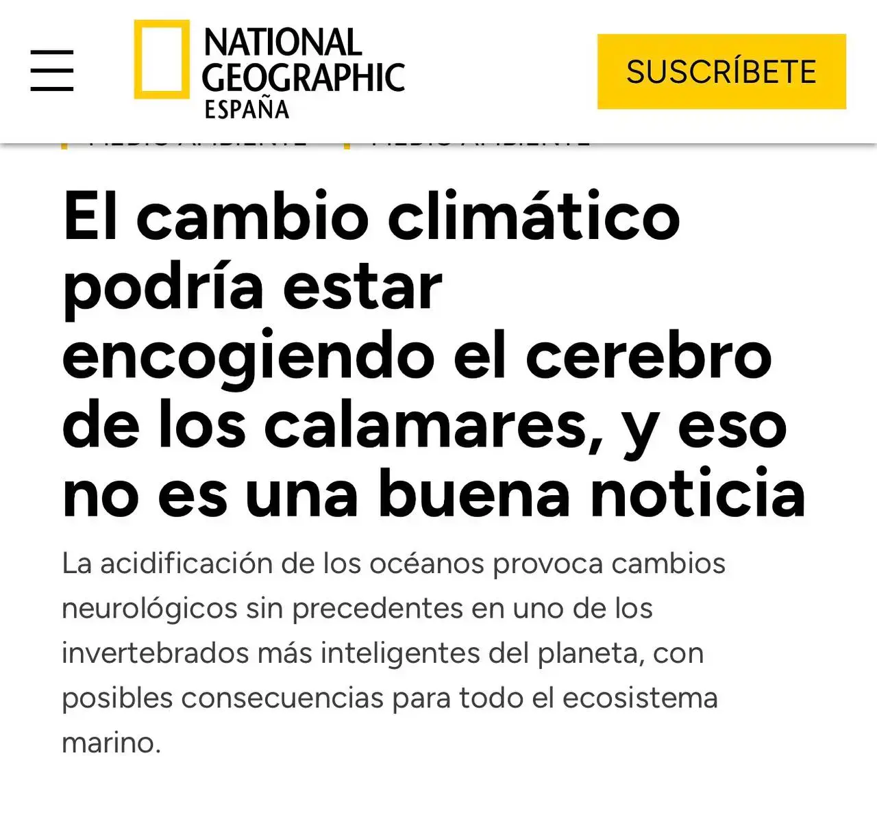 photo-2026-07-27-14-50-44-193-fts.webp