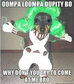 comemebro.jpg